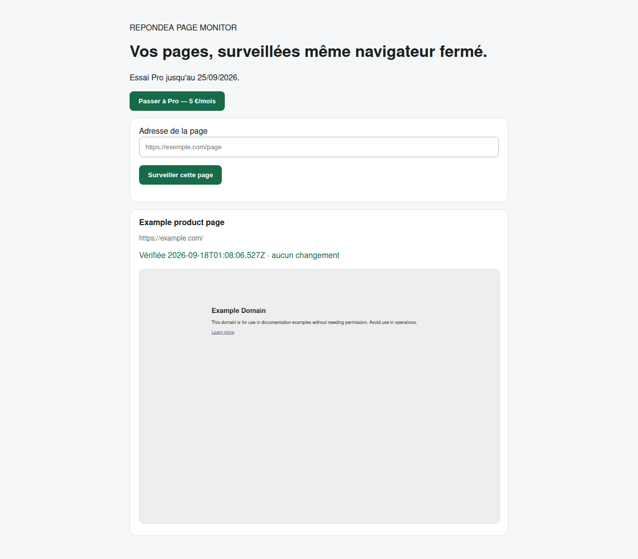 Repondea Page Monitor dashboard with a real server screenshot